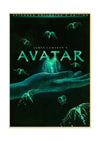 Beautiful Avatar Poster